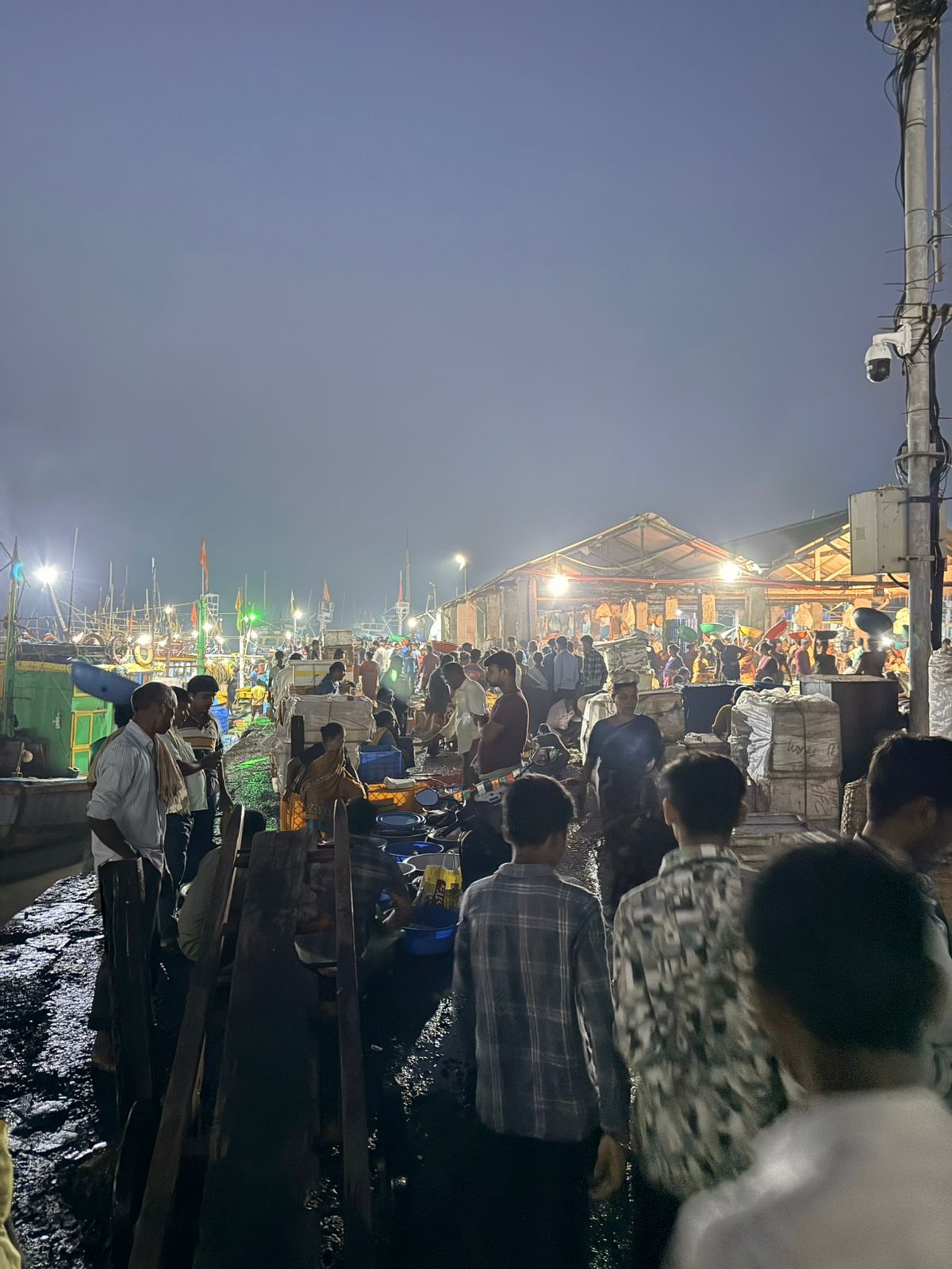 5a8e28e7-f188-49b7-b1e7-52c6eca39782