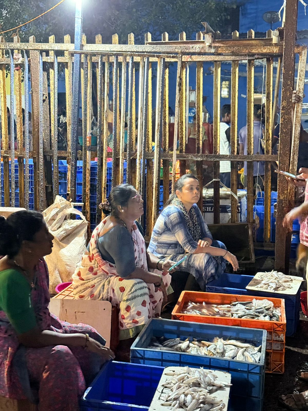 b81808c1-2c61-4186-90f9-8535aa260f8c