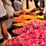 shutterstock_1363359371-1-scaled