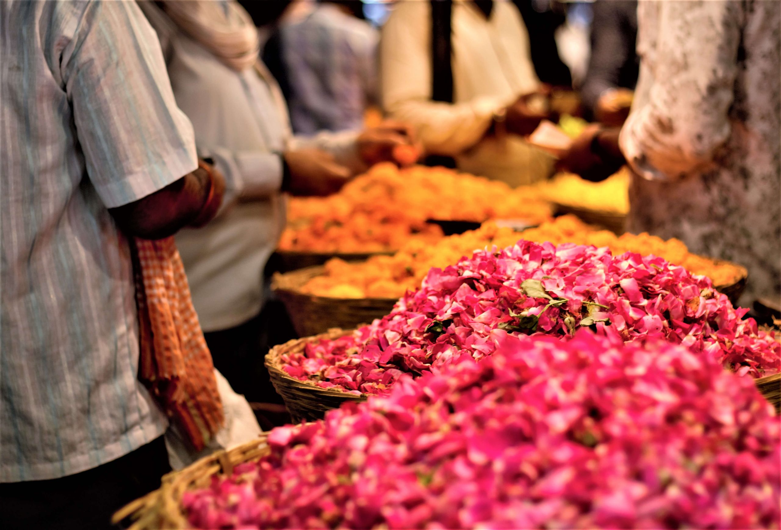 shutterstock_1363359371-1-scaled